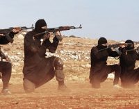 Bakanlık, 800 IŞİD’linin serbest bırakıldığını açıkladı
