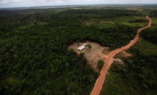 Dünyanın akciğerleri Amazon ormanlarında kırmızı alarm