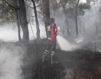 Bayramiç’te 20 dönüm orman yandı