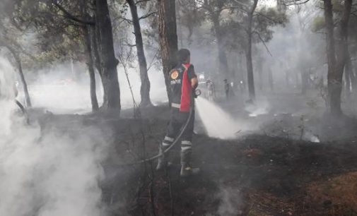 Bayramiç’te 20 dönüm orman yandı
