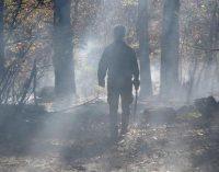 Bursa’da orman yangını: 10 dönüm alan zarar gördü