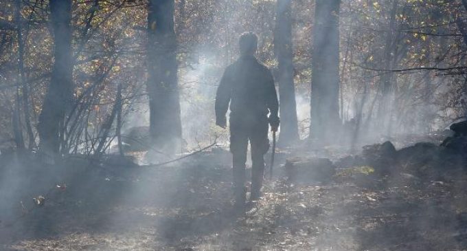 Bursa’da orman yangını: 10 dönüm alan zarar gördü