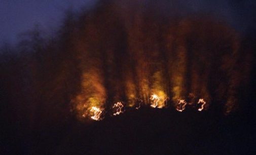 Giresun’da 10 dönüm ormanlık alan yangında zarar gördü