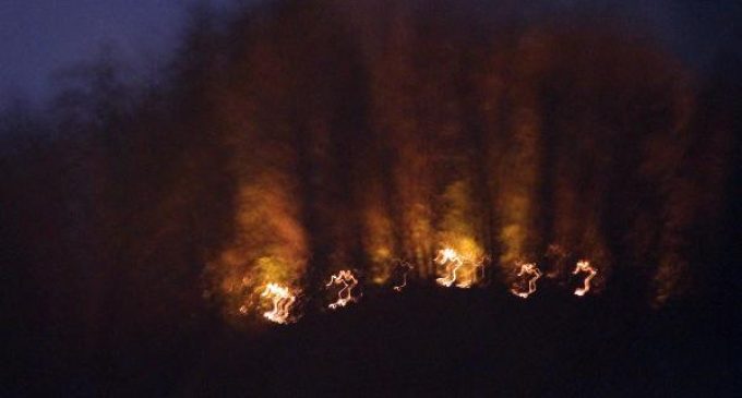 Giresun’da 10 dönüm ormanlık alan yangında zarar gördü