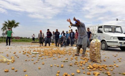 AKP döneminde tarım: Kredi borcu 105 milyara ulaştı