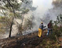Osmaniye’de orman yangını: Beş hektar kızılçam zarar gördü