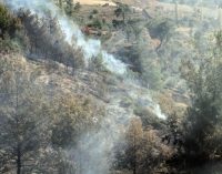 Seydikemer’de iki hektar ormanlık alan yandı