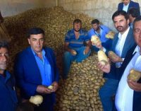 CHP’li Gürer’in isyanı: Patatesler depoda kaldı