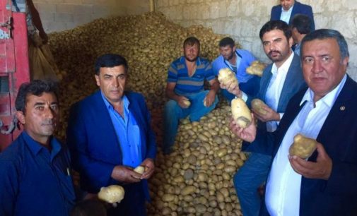 CHP’li Gürer’in isyanı: Patatesler depoda kaldı