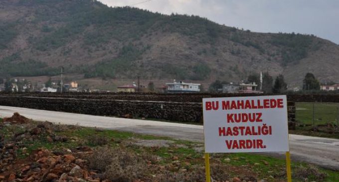 Gaziantep’te kuduz karantinası: Giriş çıkışlar yasaklandı