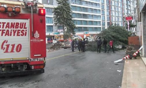 İstanbul’da fırtına: Beydiklizü’nde çatı uçtu, Ümraniye’de ağaç devrildi