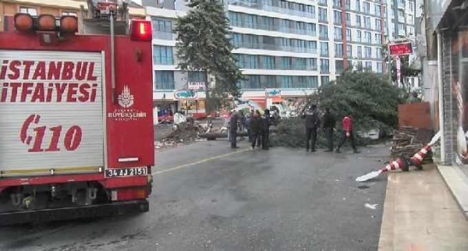 İstanbul’da fırtına: Beydiklizü’nde çatı uçtu, Ümraniye’de ağaç devrildi
