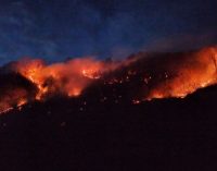 Karadeniz’de 26 noktada yangın: Beş ev kül oldu, tarım arazileri zarar gördü