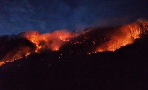 Karadeniz’de 26 noktada yangın: Beş ev kül oldu, tarım arazileri zarar gördü