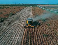 İnşaat ve beton sever AKP’nin tarım bilançosu: Üç buçuk milyon hektar alan tarım dışı kaldı!