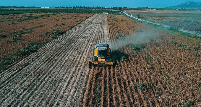 Dünya Çiftçiler Günü’nde Türkiye’de sektörün karnesi: Son 12 yılda çiftçi sayısı yüzde 48 düştü