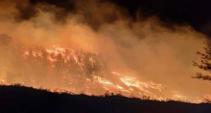 Adana’da orman yangınında 20 hektar alan kül oldu
