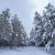 Akdağ Tabiat Parkı, kar altında