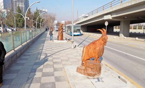Ankara sokaklarında, kuru ağaçlar sanat eserine dönüştü