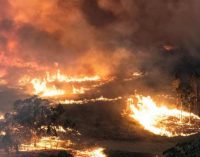 Avustralya’nın kâr odaklı mahşeri: Aylardır süren yangınların perde arkasında ne var?