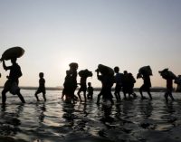 BM’den emsal karar:  İklim mağdurlarına sığınma hakkı tanınabilir