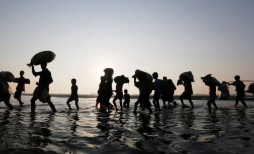 BM’den emsal karar:  İklim mağdurlarına sığınma hakkı tanınabilir