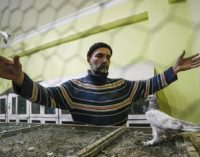 Ankara’da güvercin mezatı: ’50 bin liraya kadar alıcı bulunabiliyor’