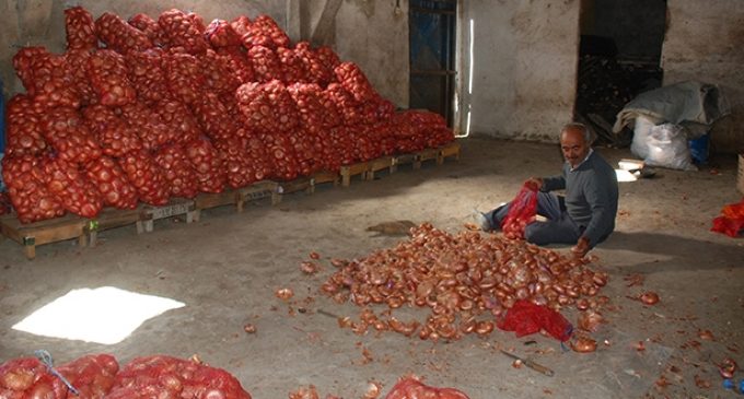 Terörist ilan edilen çiftçilerin isyanı: 250 bin ton soğan depoda çürüyor