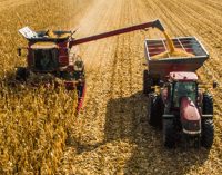 Tarım üretici fiyat endeksi verileri açıklandı