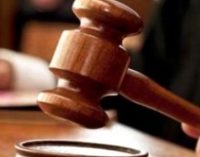 Mahkemeden tepki çeken karar: Eşeğe tecavüzün cezası 300 TL