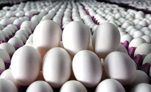 Yumurta üreticilerinden ortak ses: Batıyoruz…