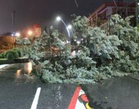 İstanbul’da fırtına ve sağanak etkisini sürdürüyor: Çatılar uçtu, ağaçlar devrildi