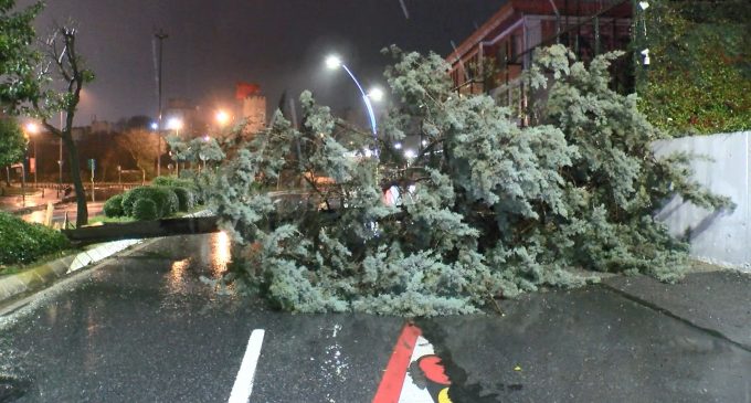 İstanbul’da fırtına ve sağanak etkisini sürdürüyor: Çatılar uçtu, ağaçlar devrildi