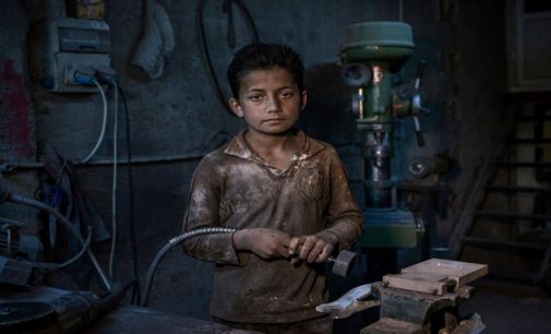 ILO, 2021’i çocuk işçiliğin sona erdirilmesi yılı ilan etti