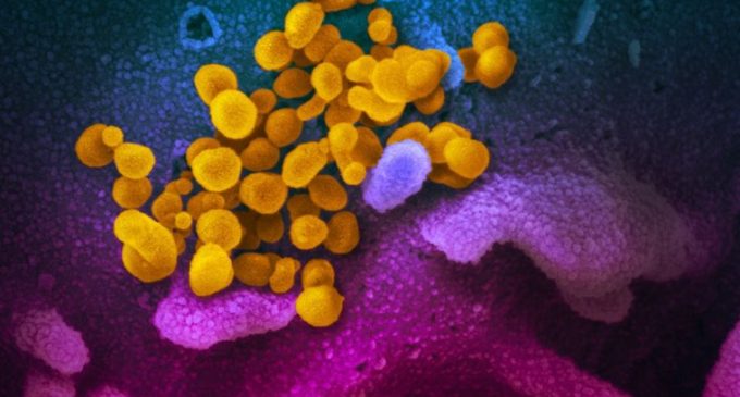 ABD’den resmi açıklama: Koronavirüs nedeniyle bir kişi yaşamını yitirdi