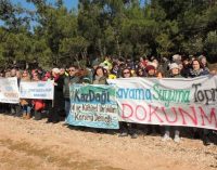 Ayvalık halkının mücadelesi zaferle bitti: İhale iptal edildi