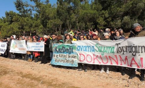 Ayvalık halkının mücadelesi zaferle bitti: İhale iptal edildi