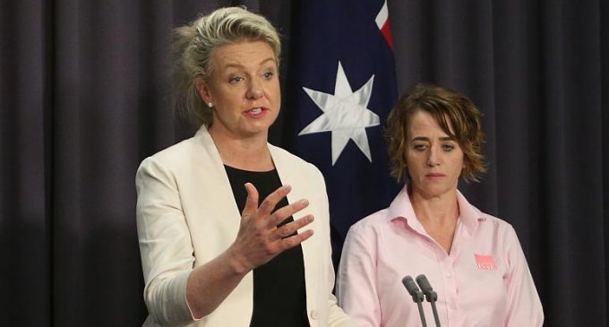 Devlet bütçesinden bağış yapan Avustralyalı bakan istifa etti