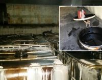 Urfa’da petrol hattına vana takarak 67 ton petrol çaldılar