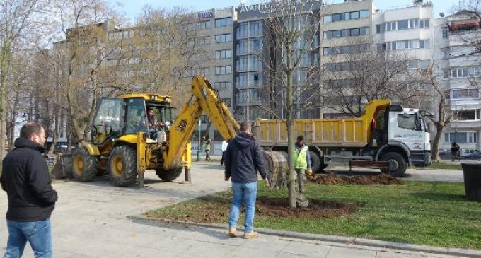 İBB, Gezi Parkı’na 150 ağaç dikiyor