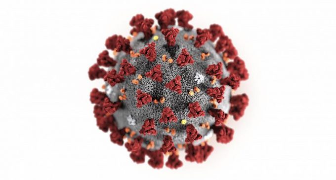 Üç gün yaşadığı tahmin edilen koronavirüsün 17 gün sonra izlerine rastlandı