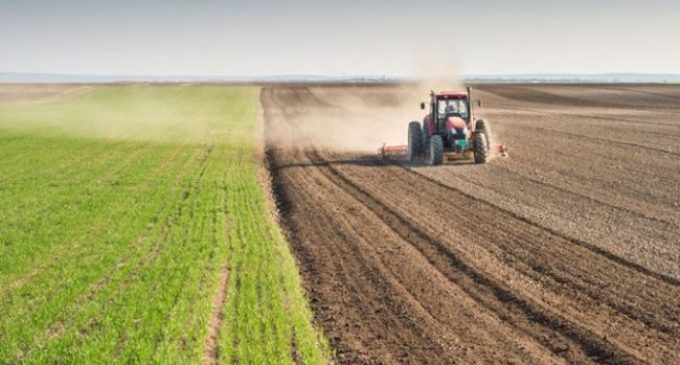 Tarımda üretici fiyatları yıllık yüzde 21.24 arttı
