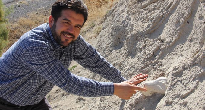 Kayseri’de fil izleri: Veterinerin bulduğu 7.5 milyon yıllık fosil bir file ait çıktı