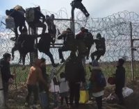 117 bin 677 sığınmacı Edirne üzerinden Türkiye’den ayrıldı