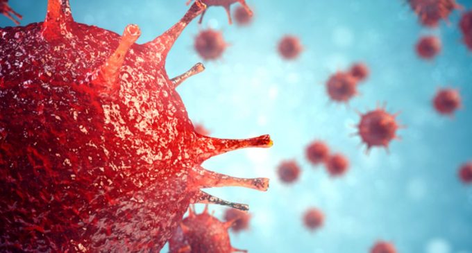 Binlerce ölüme neden olan koronavirüs hücrelerimizi nasıl ele geçiriyor?