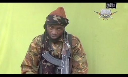 Boko Haram lideri Şekau için yedi milyon dolar para ödülü