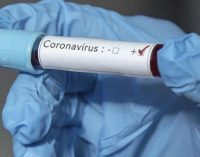 Yunanistan’da koronavirüs vaka sayısı 387’ye yükseldi