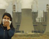 Korona günlerinde termik santrale ‘ÇED olumlu’ raporu: Talan sevdası salgın dinlemedi