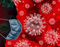 Güncel verilerle koronavirüs raporu: Merak edilen sorulara bilimsel yanıtlar