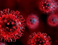 BM: Koronavirüs salgını, İkinci Dünya Savaşı’ndan bu yana en ağır kriz